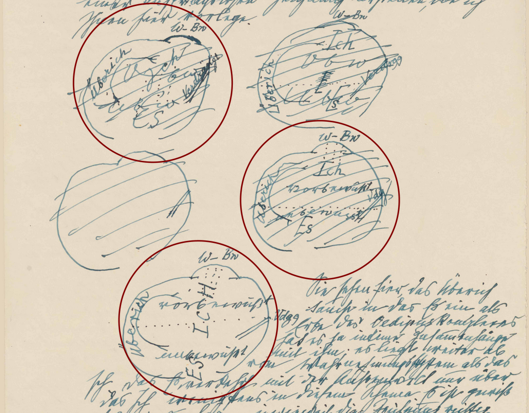 A section of Freud's sketches with three areas highlighted.