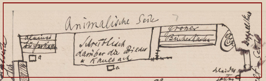 A section of Freud's sketch, highlighting the top of the drawing.