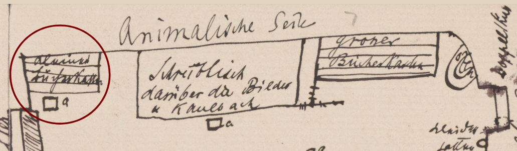 A section of Freud's sketch, highlighting a small bookshelf.