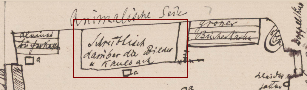A section of Freud's sketch, highlighting a writing desk and an adjacent painting.
