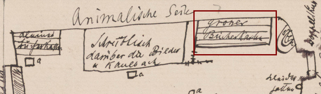 A section of Freud's sketch, highlighting a larger bookshelf.