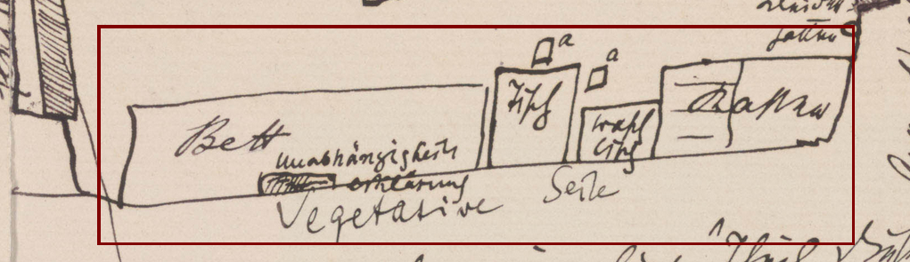 A section of Freud's sketch, highlighting the 'vegetative' side of the room.