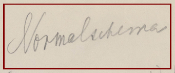 A section of the main image featuring the word 'Normalschema'.
