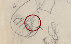 A section of the main image, highlighting a section marked 'E' for 'End Organ'.
