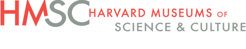 Harvard Museums of Science & Culture Logo