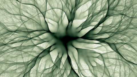 Electron Transport