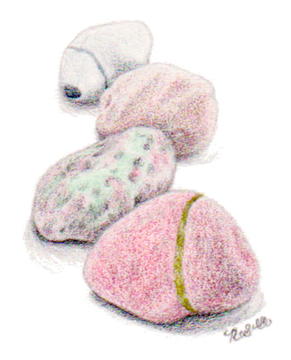 3D Stones