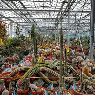 Botanic Garden
