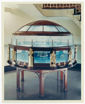 Pope Orrery in Houghton Library, c.1959