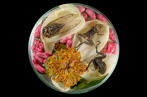paperweight
