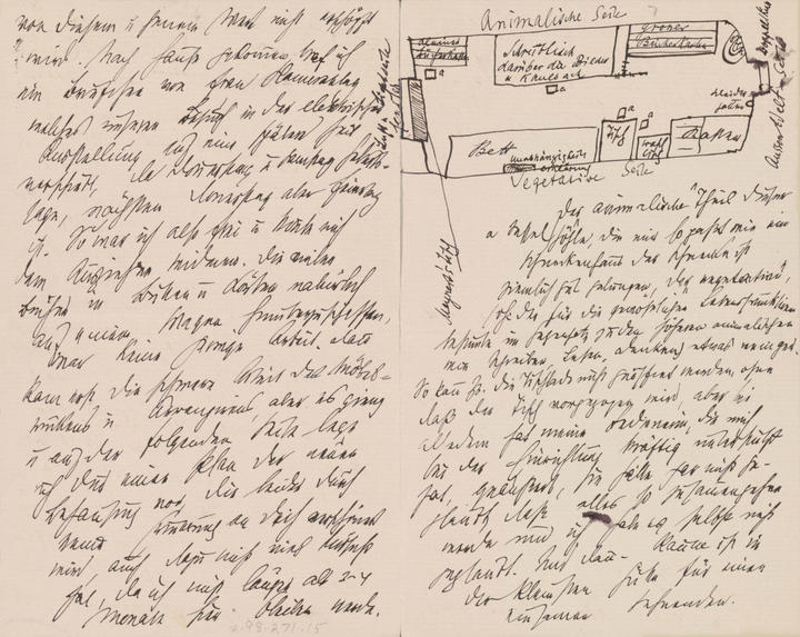 Drawing of Freud’s Room in Vienna
