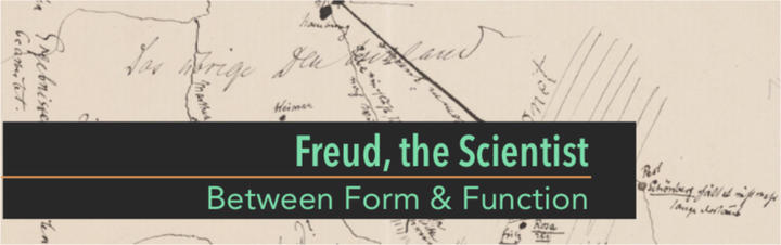 Freud the Scientist Form Function Banner