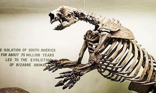 Sloth