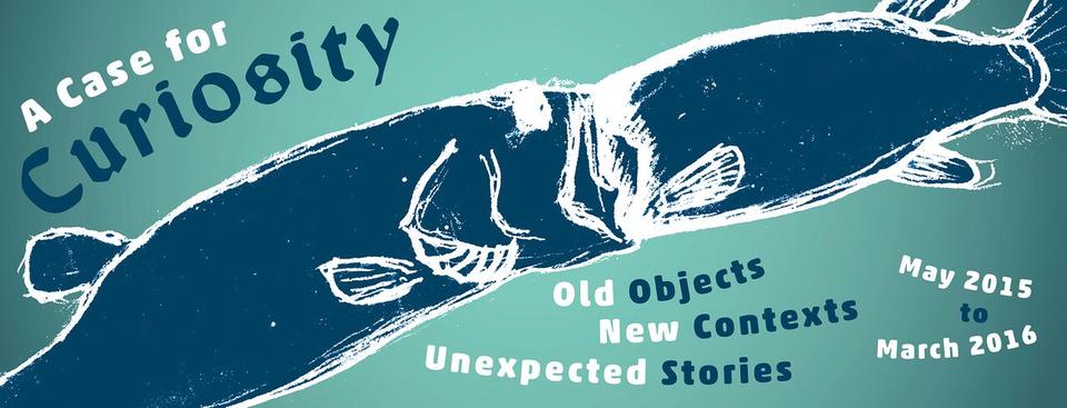 A Case for Curiosity