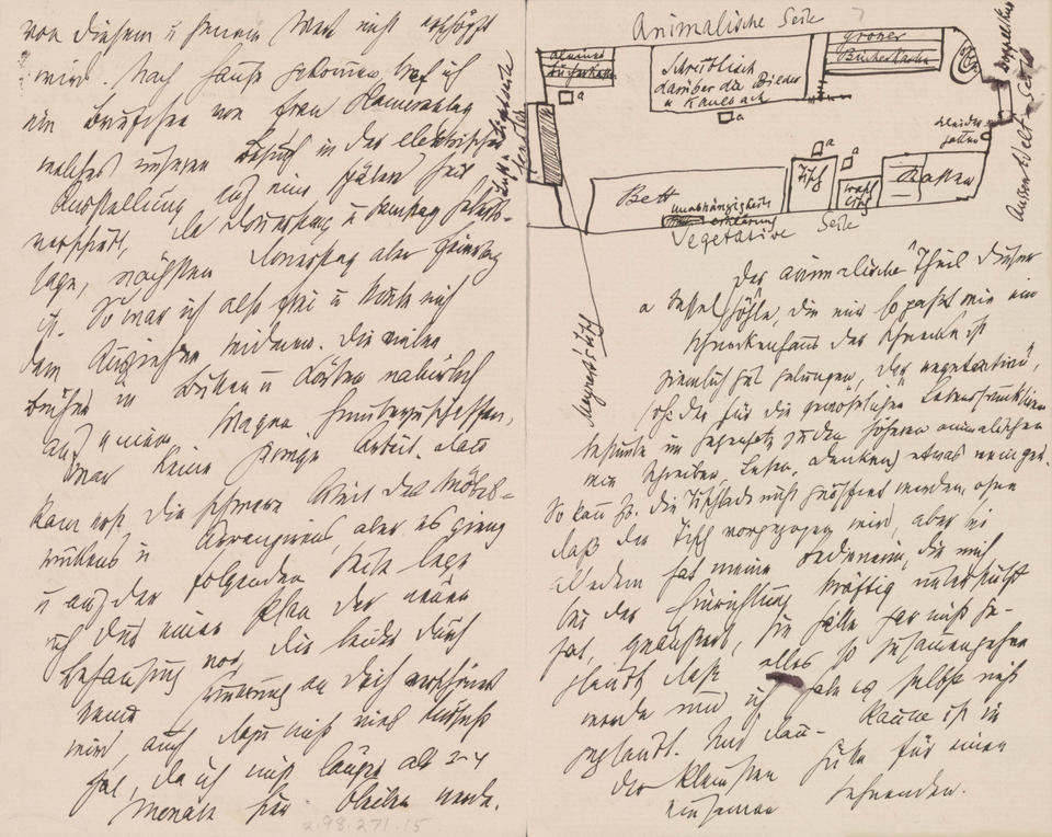 Drawing of Freud’s Room in Vienna.